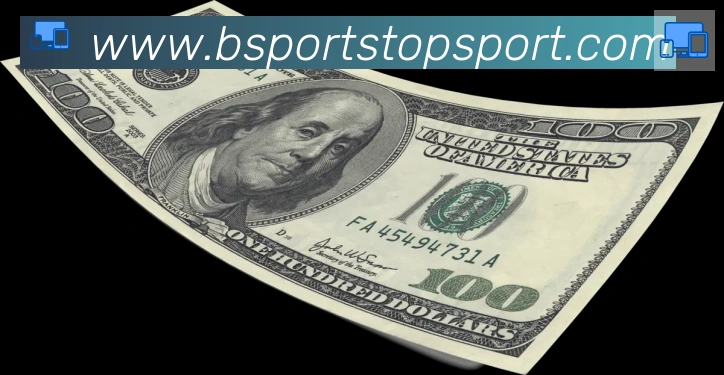 Bsports官网品牌故事