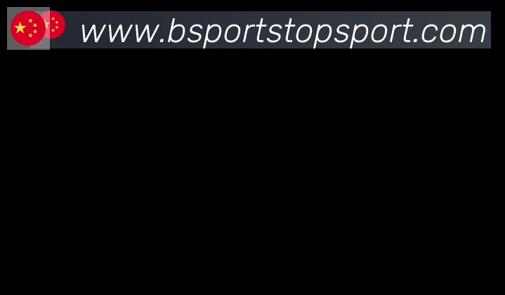 Bsports官网合作伙伴