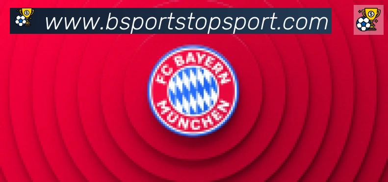 Bsports官网合作伙伴