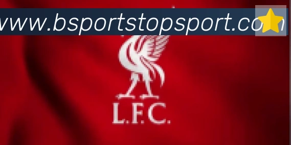 Bsports官网合作伙伴