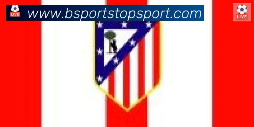 Bsports官网合作伙伴